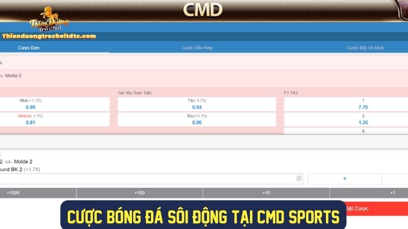 Trải nghiệm cược bóng đá CMD sôi động