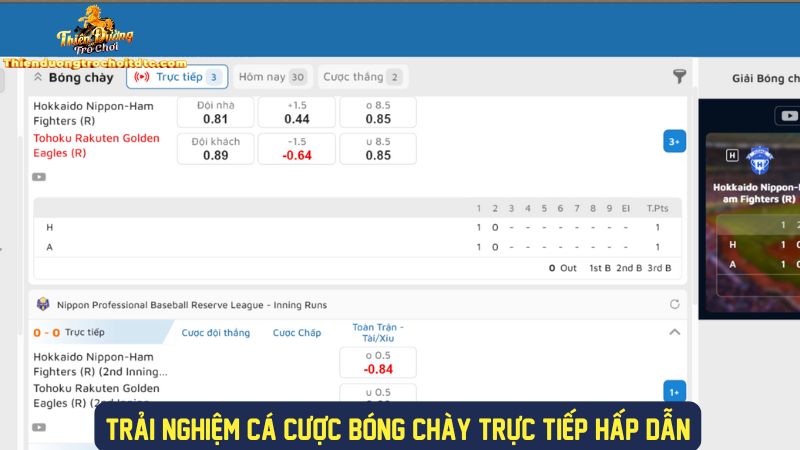 Cược bóng chày trực tiếp hấp dẫn