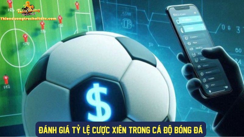 Đánh giá tỷ lệ cược trước khi tham gia kèo xiên